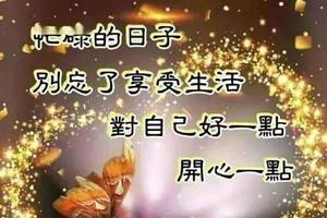 41ΨȦ糿ʺ Ϻʺﶯ̬ͼƬȫ