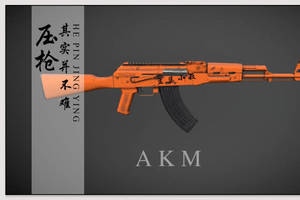 akm其实不难,第4把大神也驾驭不了