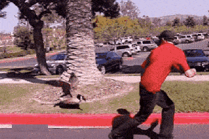 搞笑动图gif:姑娘吃吧,我就知道你喜欢这东西