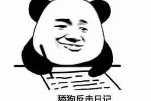 舔狗反击日记表情包