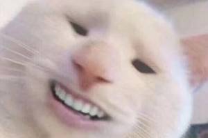 心急如焚惹的,哈哈哈这就有点尴尬了啊!