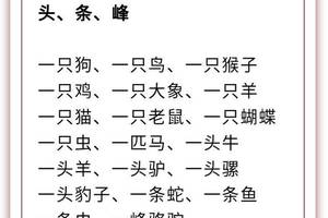 小学汉语基础知识:语文18类量词归类汇总,词汇积累,值得收藏!