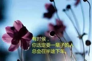 人生的层次,取决于独处的能力