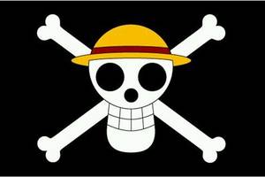 《海贼王》十二个海贼团的旗帜,认出十个以上的才算资深海迷!