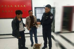 铜仁市人防办副主任张金乾接受审查调查