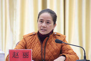 广西崇左,大新赵丽接受