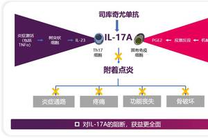 "挺"进新时代,"骨"起新希望——司库奇尤单抗as适应症获批,中国as治疗