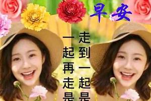2020ϺƯʺףͼƬ ܰ簲ʺ