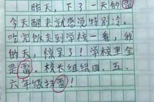 小学生答题"错别字"太奇葩,网友笑抽:被学习耽误的段子手