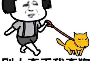 开心幽默搞笑段子:我们初中同学好久不见了今年搞了个聚会