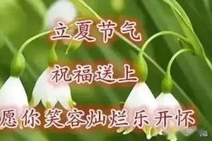 立夏祝福到!打开看看,为夏天开一个好头