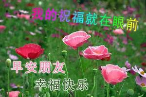 5峿ʺϺö̬ͼƬȫ 簲ůľ簲ʺͼƬ