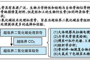 超临界二氧化碳萃取的猪松质骨