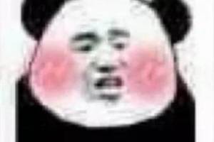 沙雕熊猫头表情包