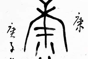 篆书作品:康和