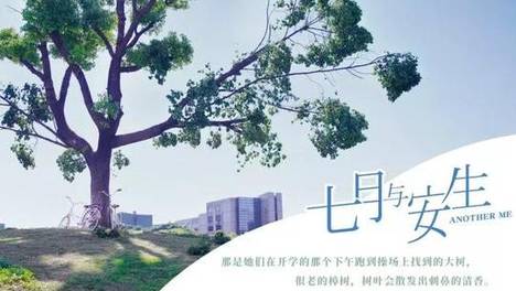 《七月与安生》收官 洋气宁波实力圈粉