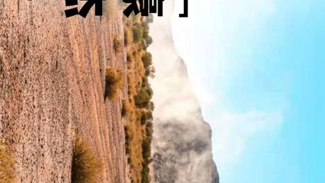 达喀尔进行时，沃还在战斗