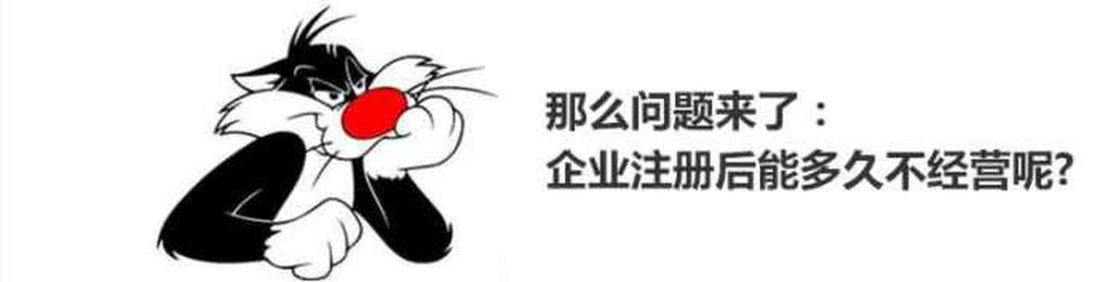 注册公司之后不实际经营的后果