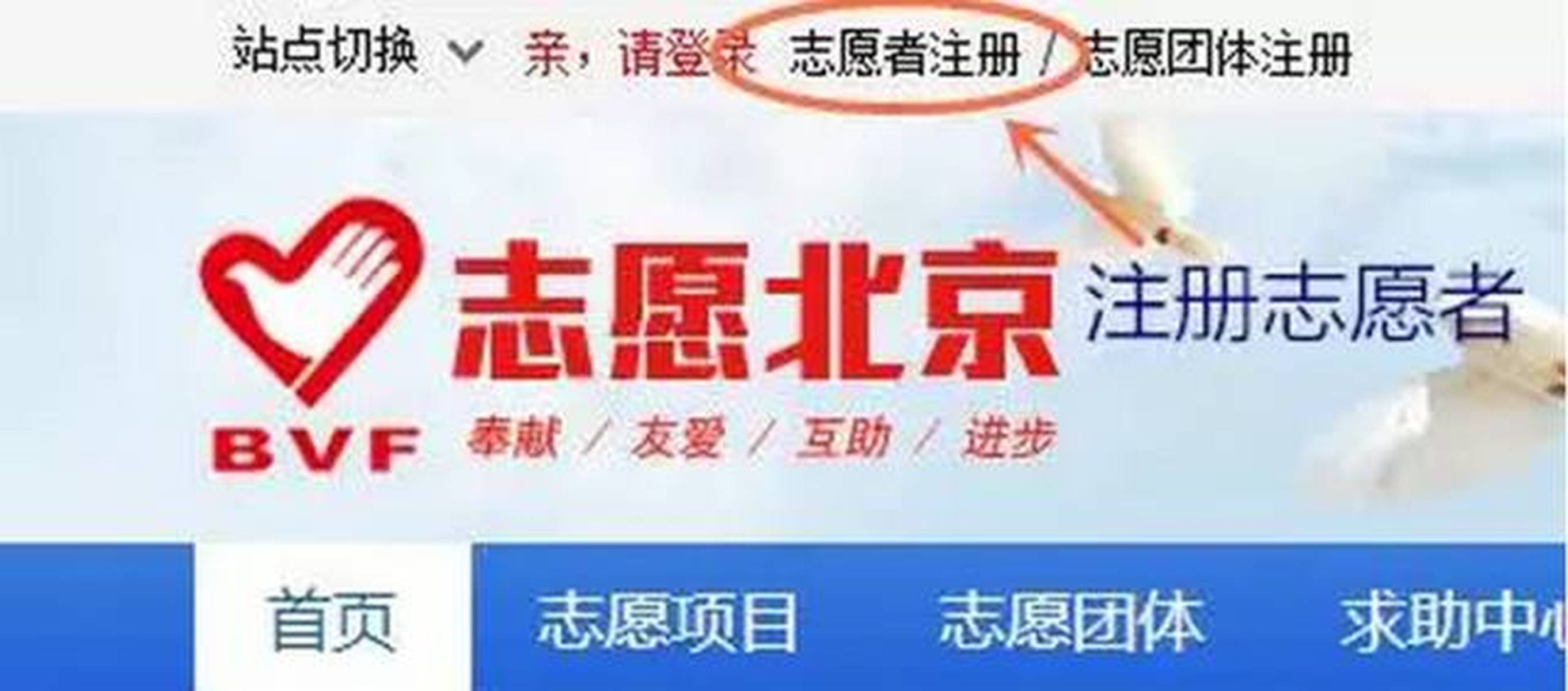 北京志愿者注册一直没有消息