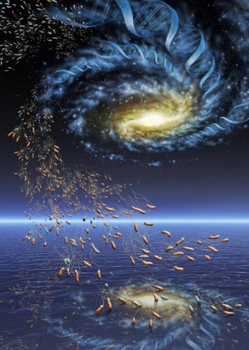 恐惧的真相 宇宙其实是个生物体
