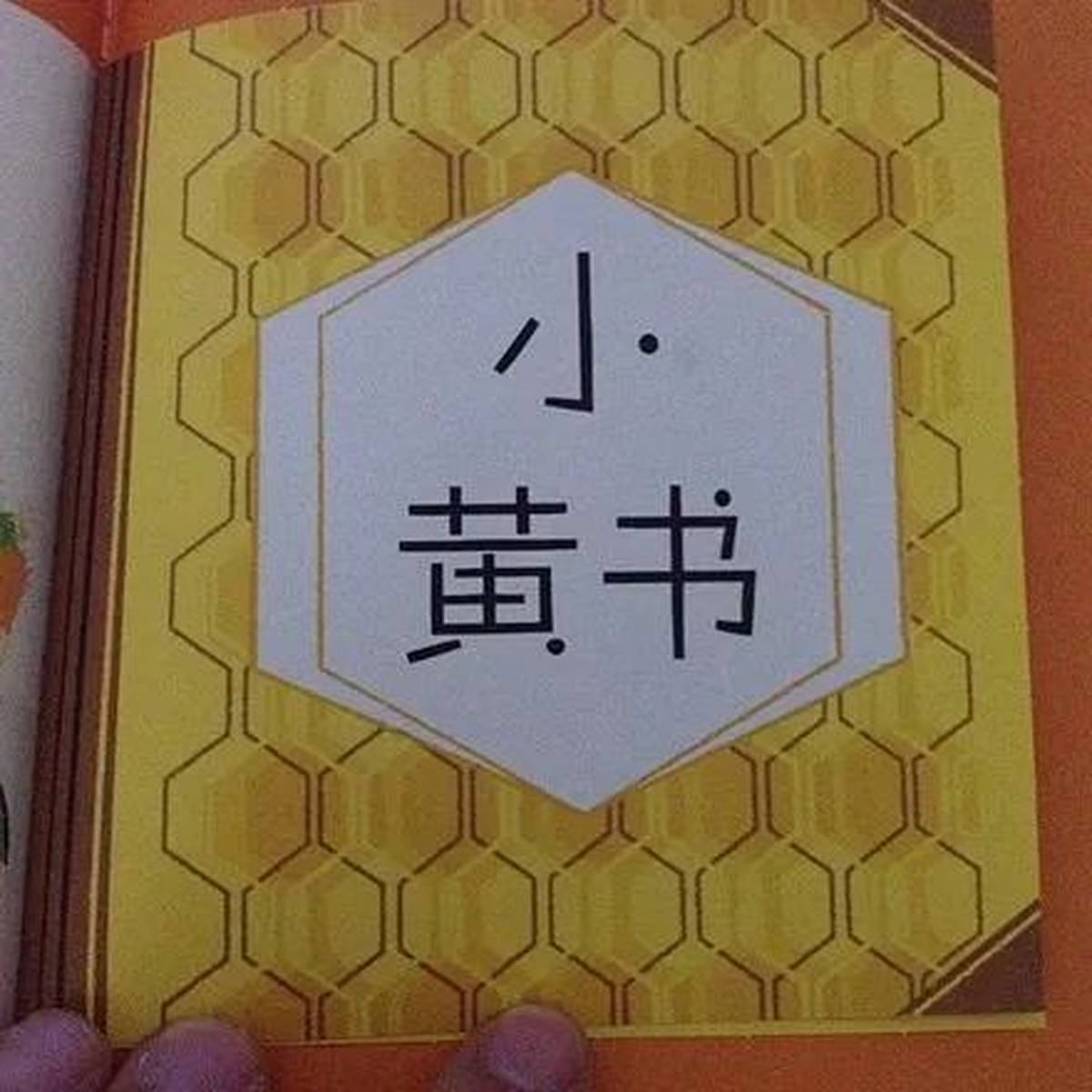 看过这本小黄书的人，毫无疑问会撕起来！