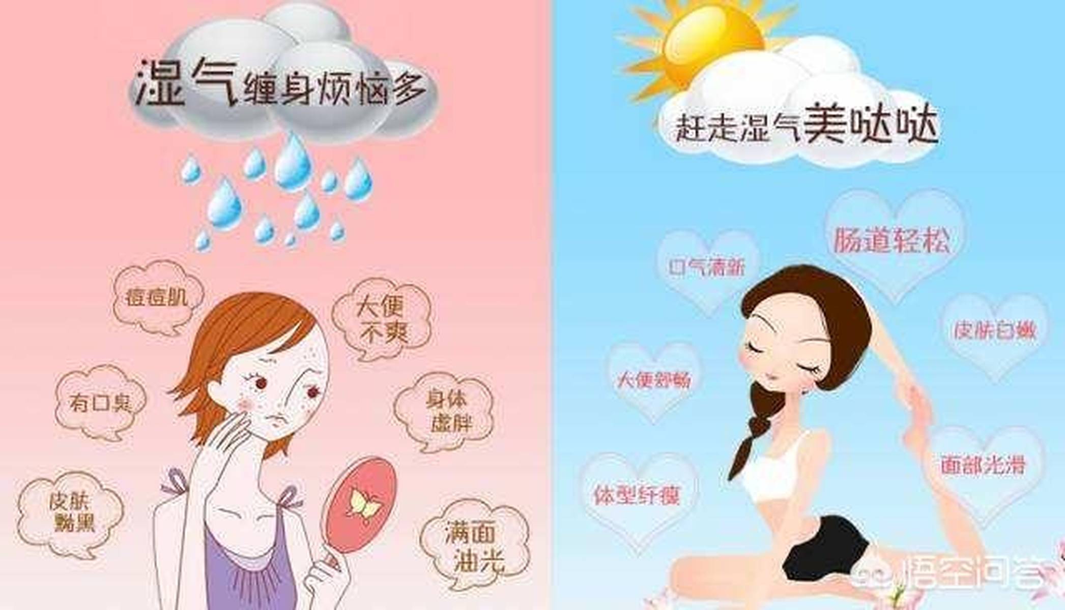 夏天湿气太重？你知不知道喝茶也能祛湿！
