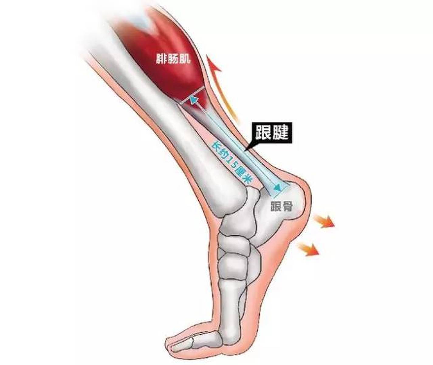 缓解肌腱炎的方法，你了解多少？