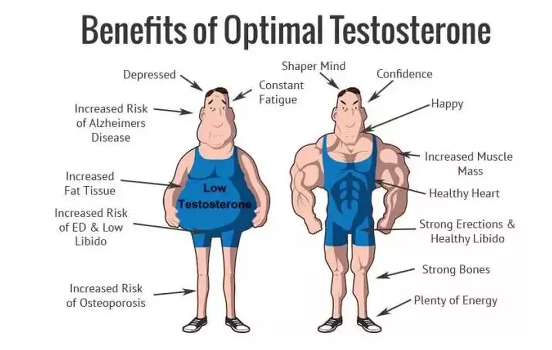 睾酮有什么用？为什么要促睾？