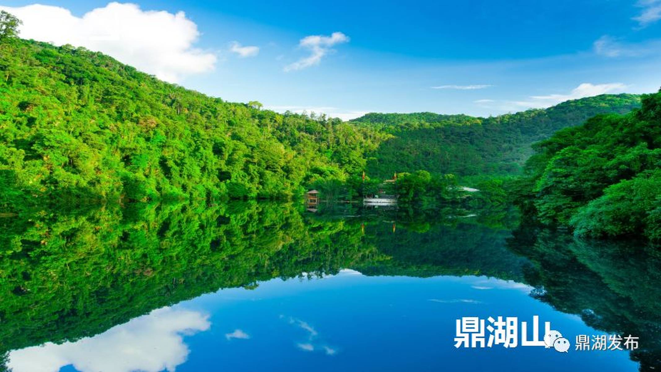 【重磅】肇庆鼎湖成为粤港澳大湾区中的“世界长寿之乡”