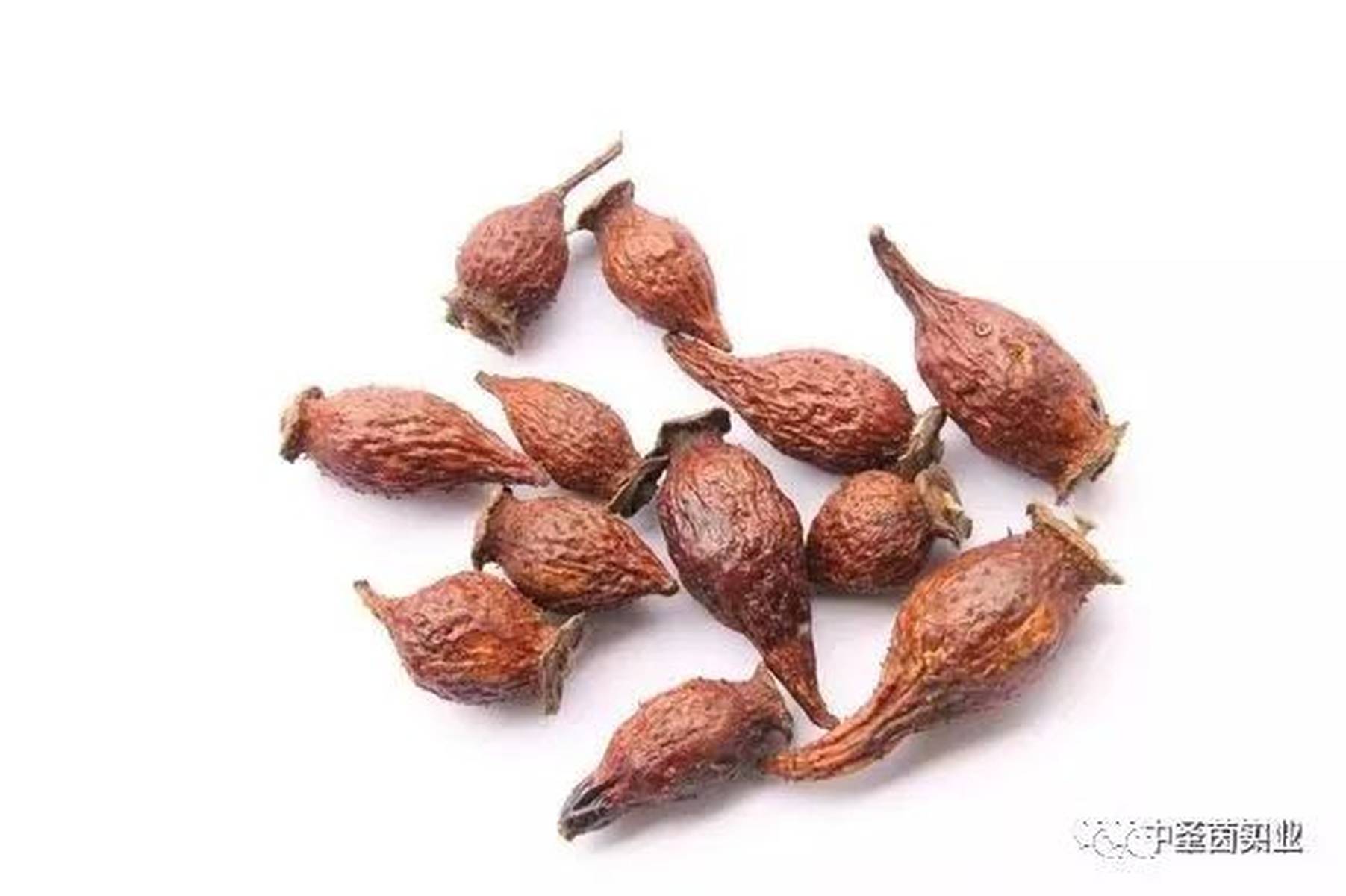 中药材：金樱子