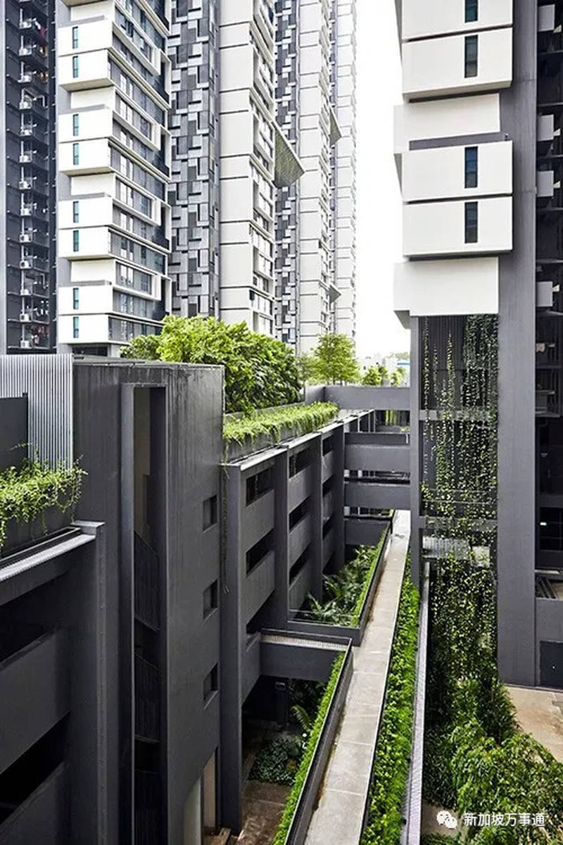 看完新加坡的组屋，住香港公屋的已哭晕在厕所~