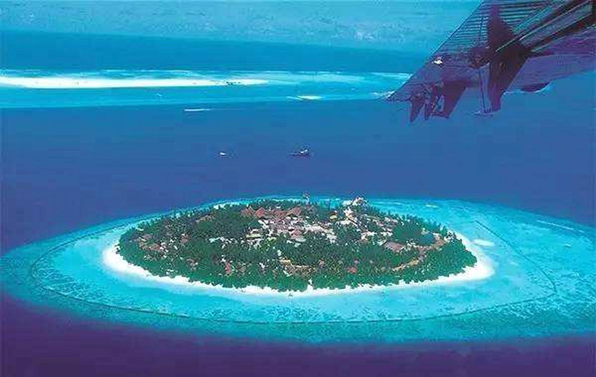 这国家靠卖鸟粪爆富，是世界上最小的岛，如今却惨遭破产