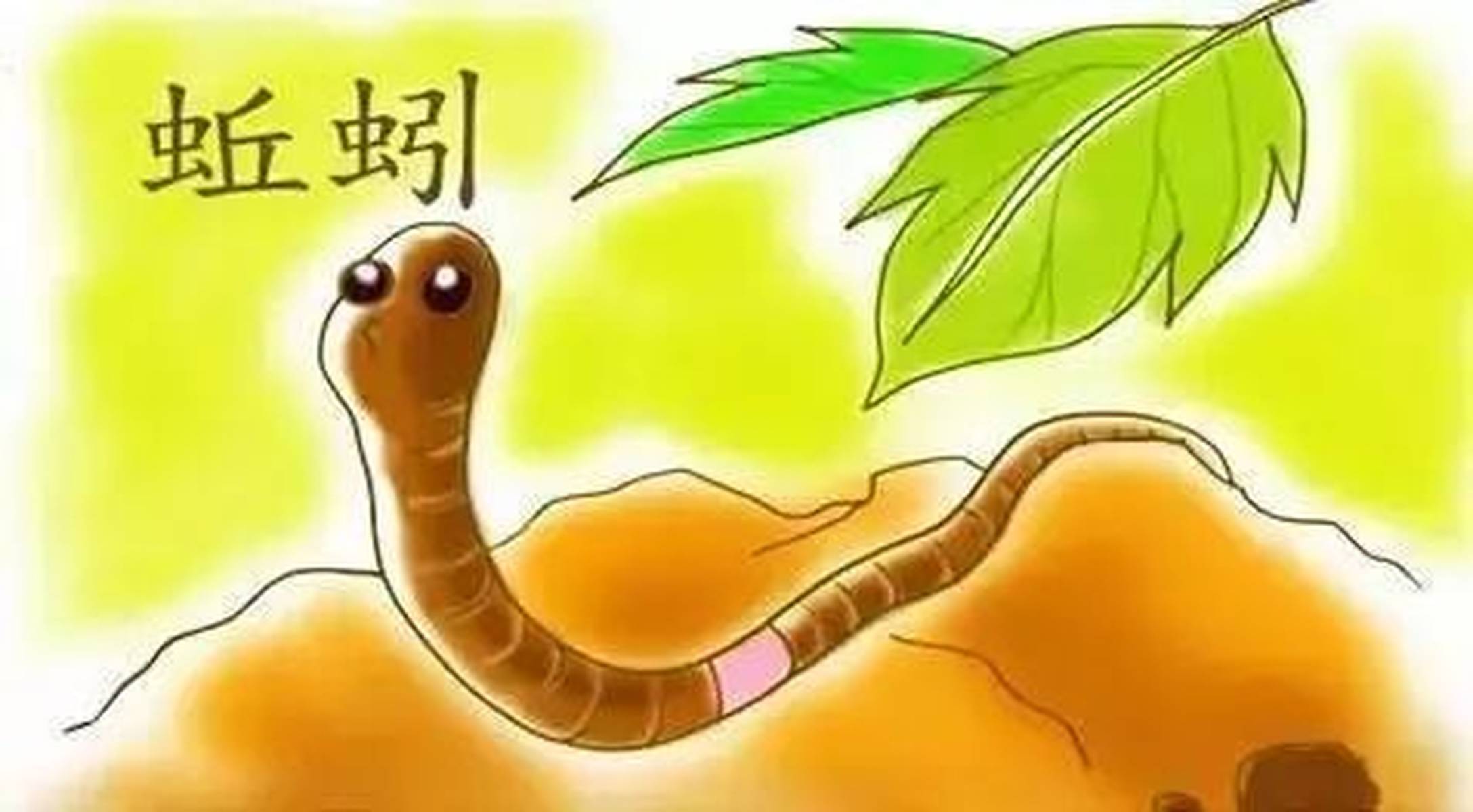 梦境解析,蚯蚓变蛇的奇幻之旅 梦境解析,蚯蚓变蛇的奇幻之旅