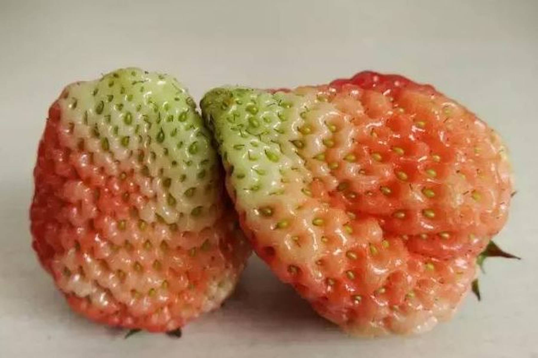 草莓青头，着色差，味道还好，没卖相，怎么办？
