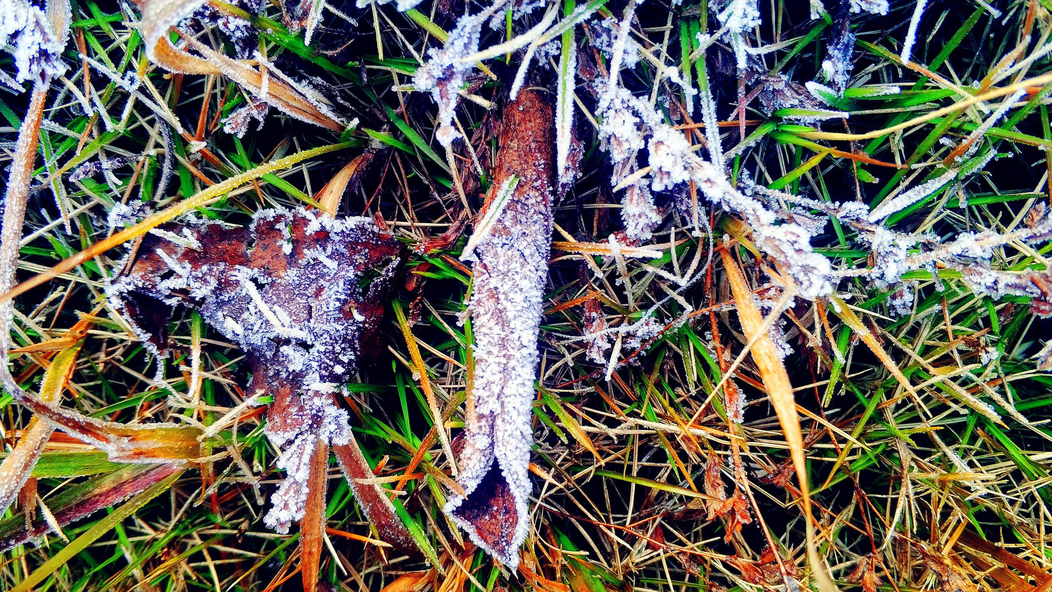 春雨夏阳秋风冬霜的霜