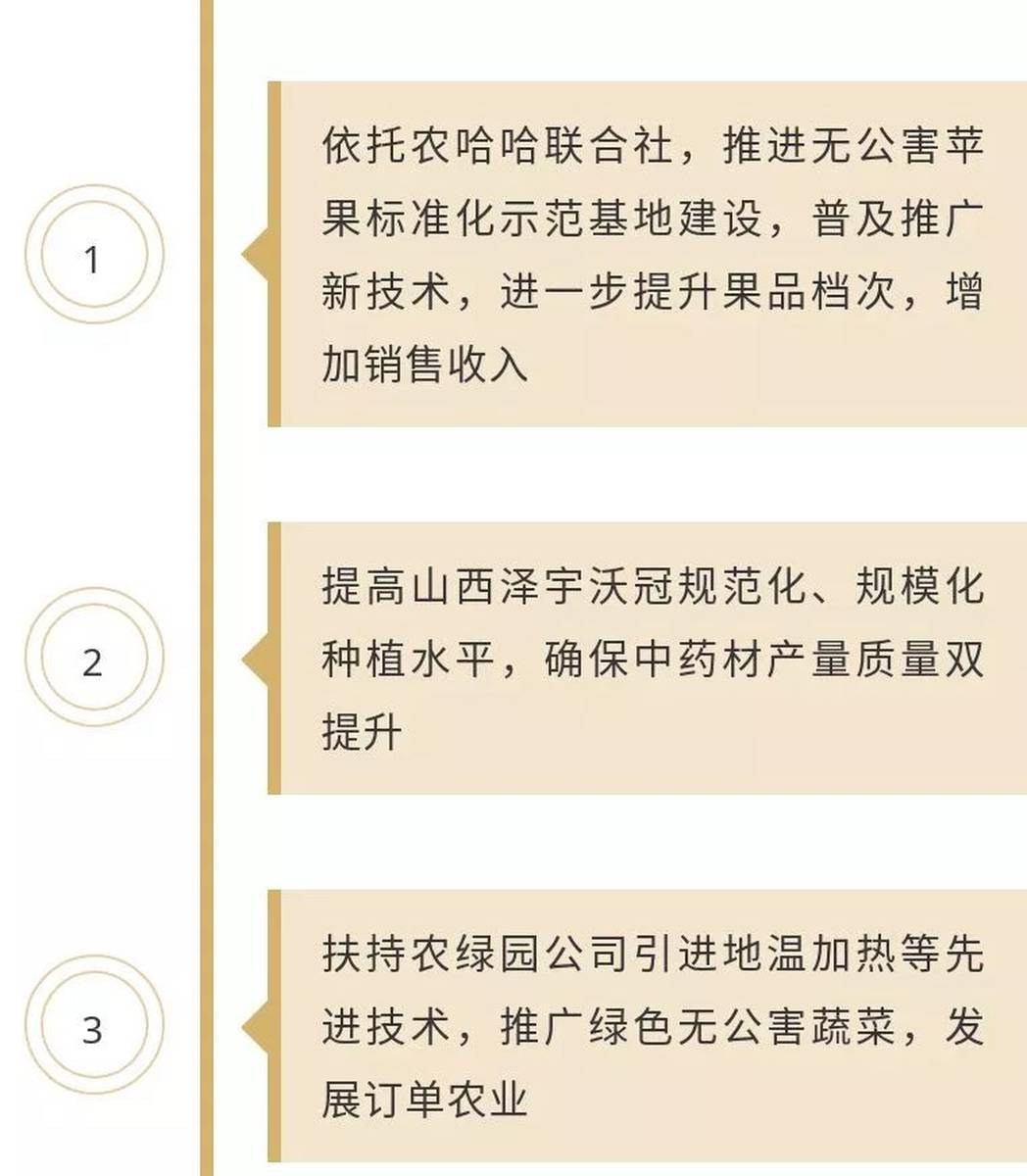 如何做好乡村振兴大文章？