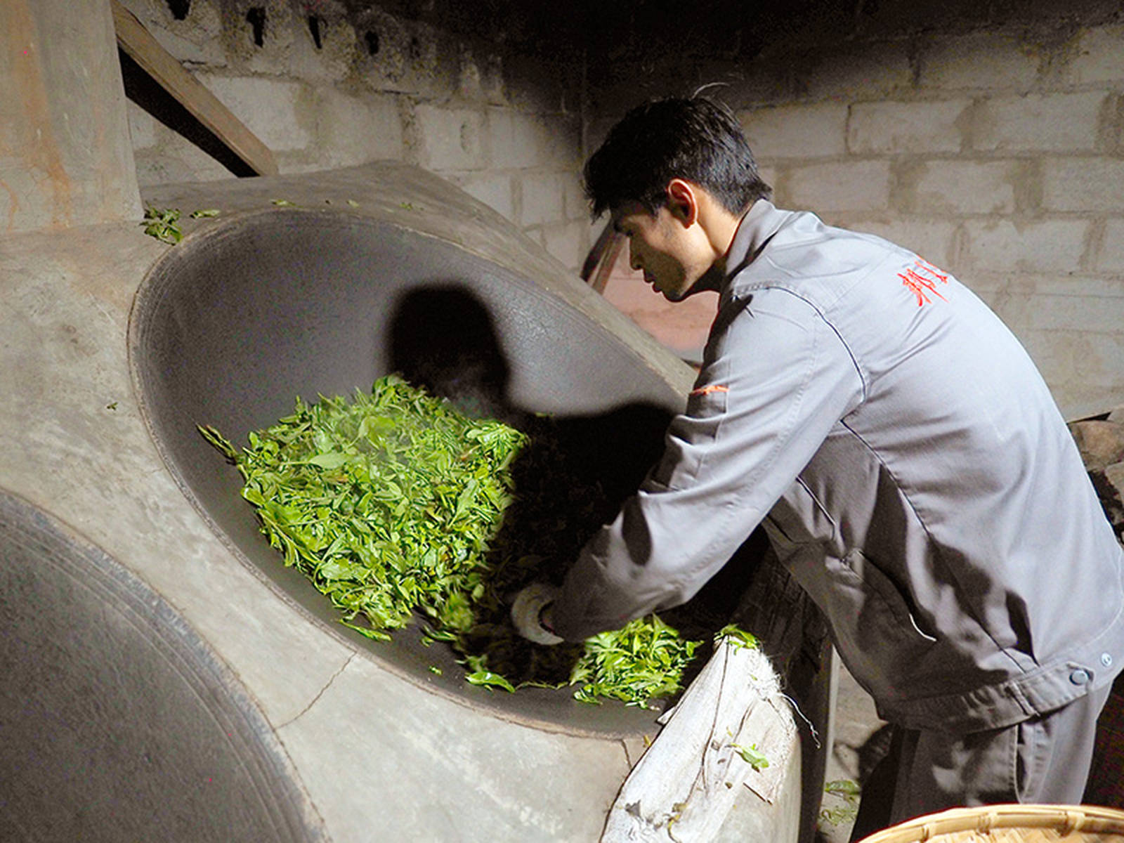 图解茶叶制作过程，有3样工具太原始，但非常实用