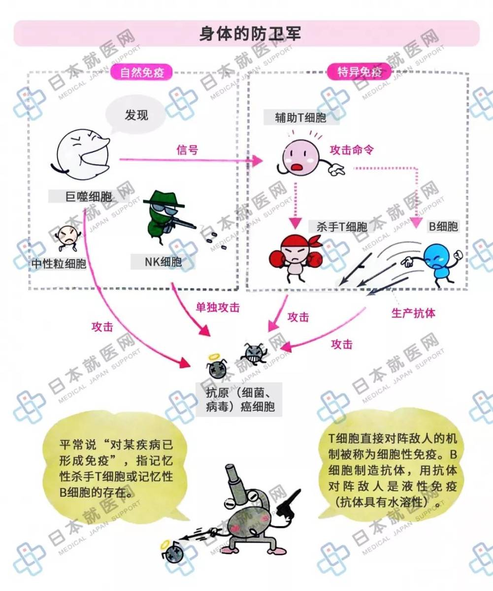 免疫是机体的防御机制