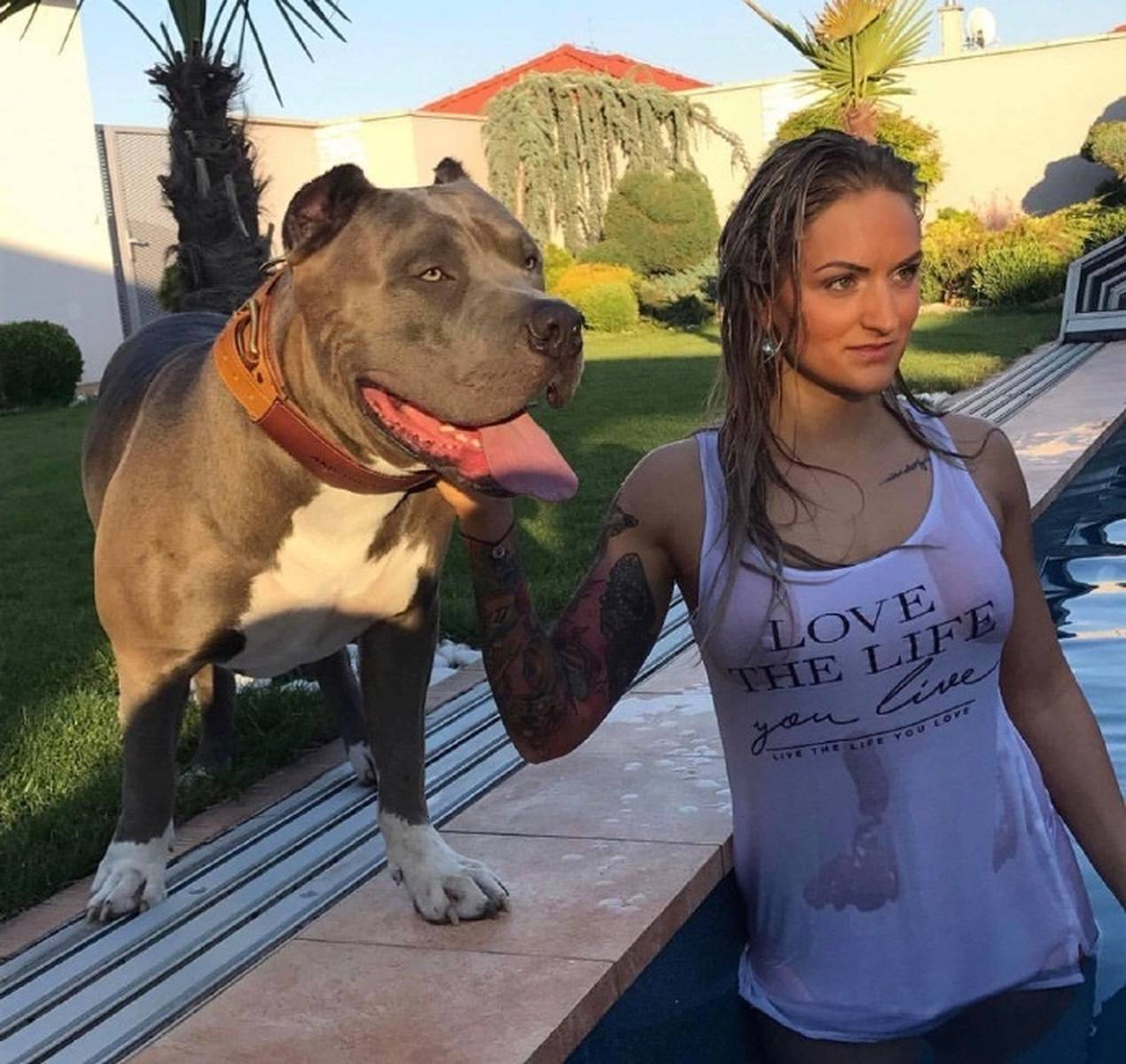 恶霸犬,美女的带刀侍卫