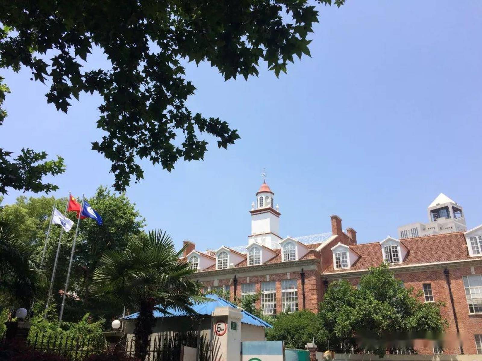 林荫大道|贝当路美国学校旧址，衡山路的迷人风情