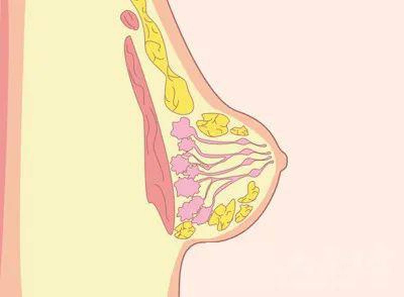 乳房疼痛还有肿块？警惕乳腺增生！！！