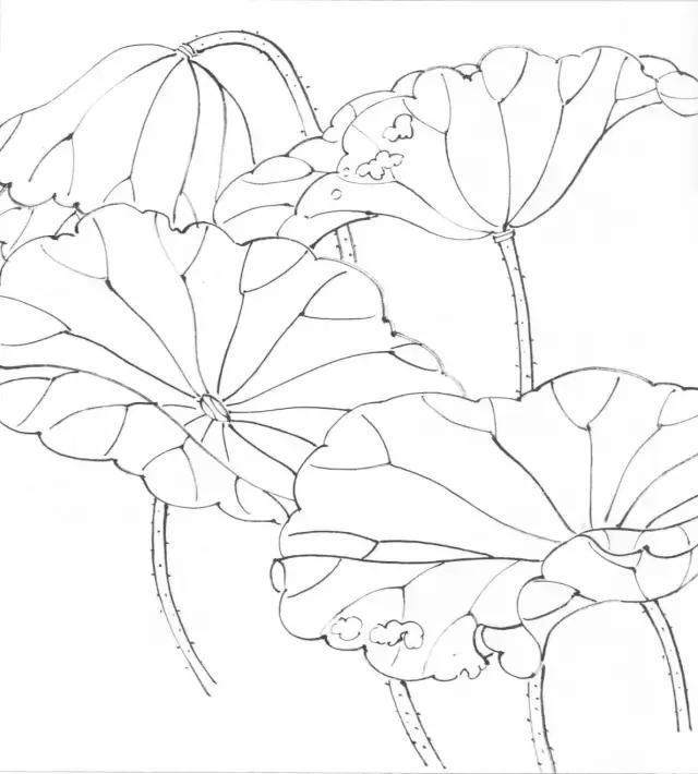 详解国画水墨荷花画法 历代名家画《荷花》大全