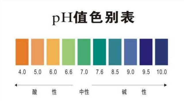 测胃酸ph值多少钱 191893b8dd7d4c888f8cc072101bf29e.jpg