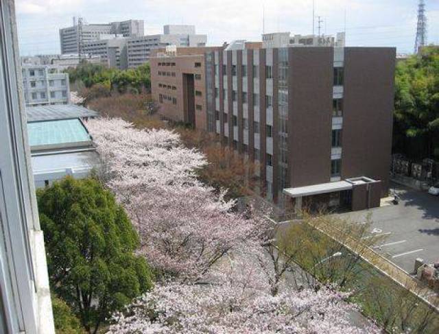 日本留学|你必须知道日本高中生怎么选择好的大学