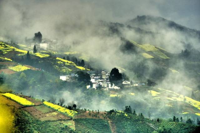 坡山村