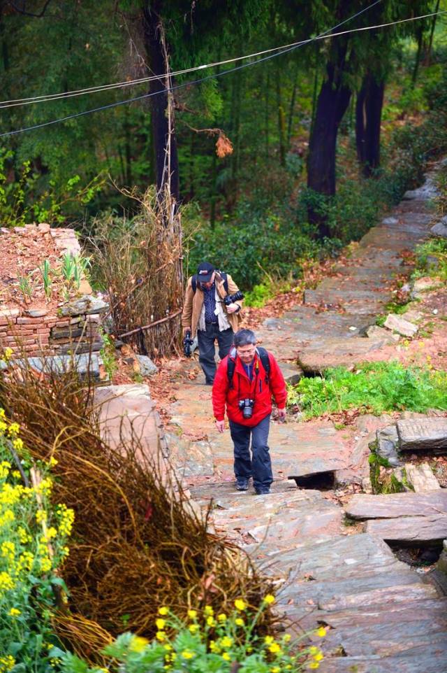 鲍家汰古石板山路