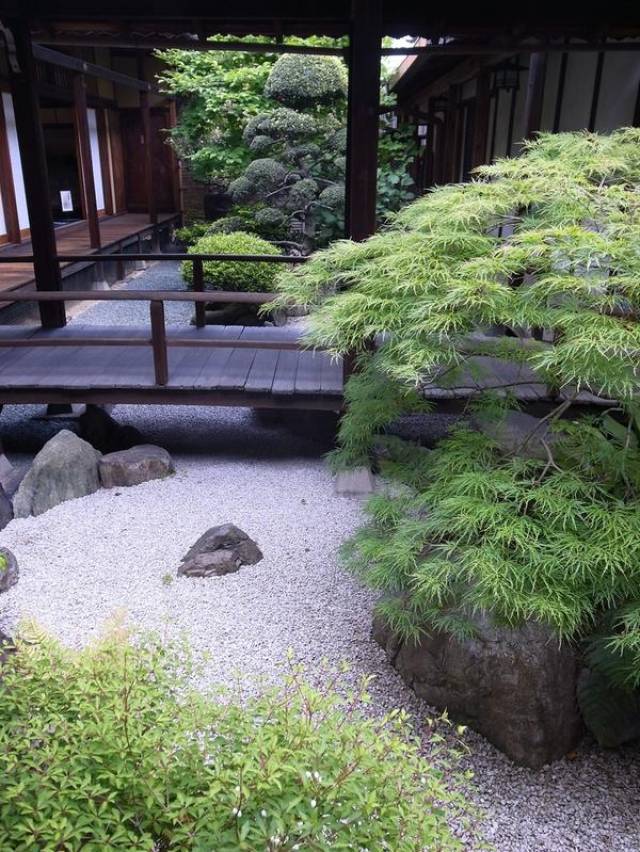 日式风格装修搭配要这些绿色植物才好,别花冤枉钱