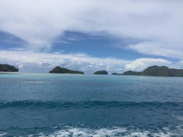 帕劳和马尔代夫哪个好?100张照片告诉你