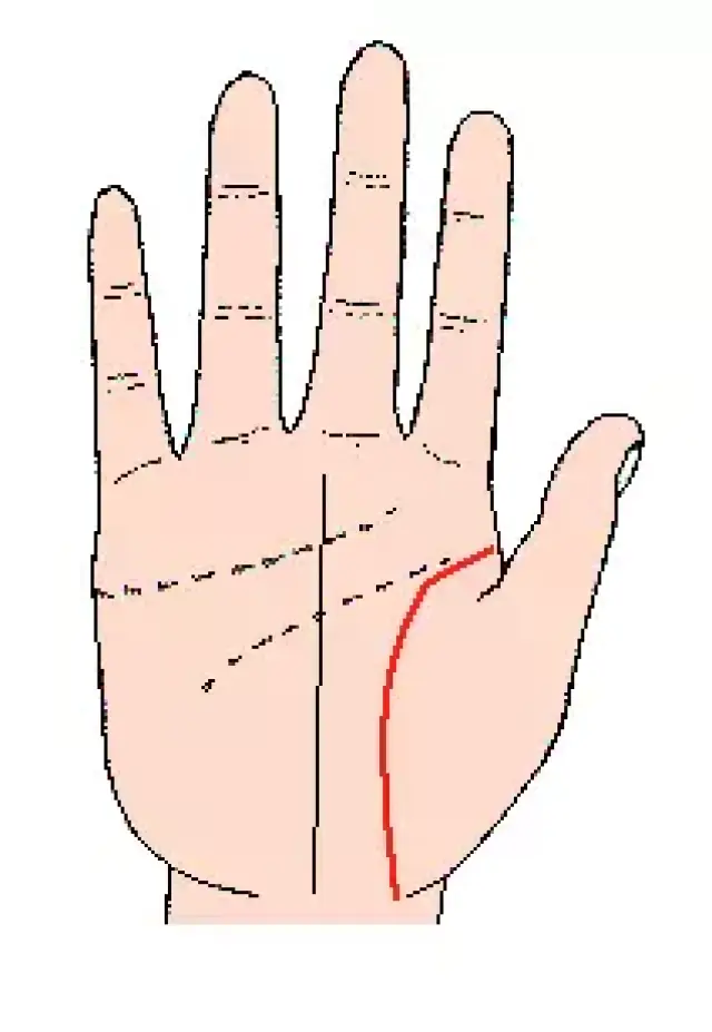 手掌中生命线的含义