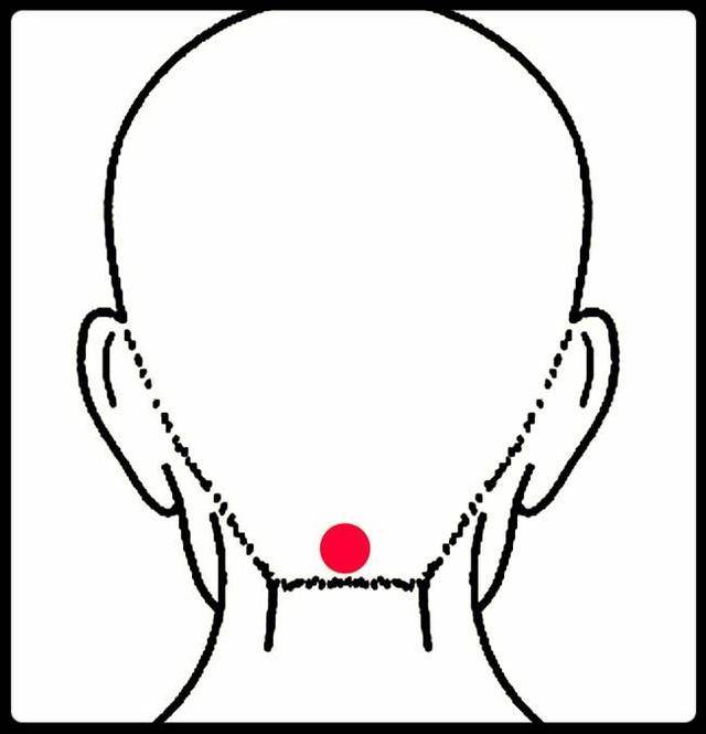 颈部——哑门